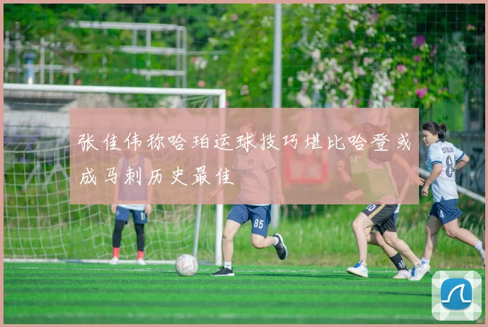 张佳伟称哈珀运球技巧堪比哈登或成马刺历史最佳