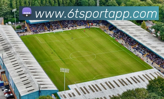 6t体育发展历程