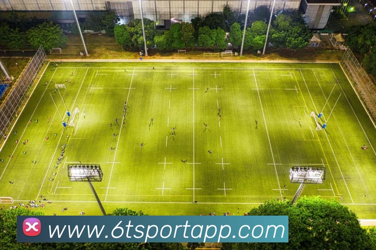 万纳尔确认将代表奥地利队出战期待在世界杯上大展身手